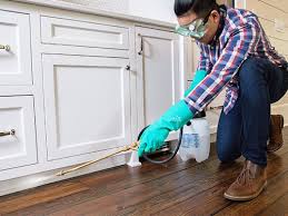 Real Estate Pest Inspections in Jasper, IN